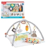 Aktivitātes paklājs Fisher Price Deluxe GKD45/2