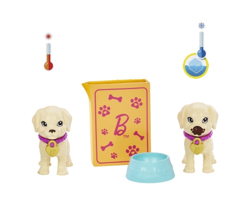 Barbie Adopt-a-Pup Playset Latina Кукла HKD86