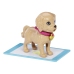 Barbie Adopt-a-Pup Playset Latina Кукла HKD86