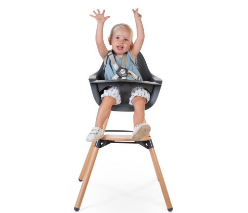 Barošanas Krēsls 2in1 CHILDHOME Evolu 2 Chair Natural anthracite