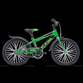 Bērnu divritenis velosipēds CTM Scooby 1.0 Green 20 collas