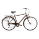 Bērnu velosipēds ROMET VINTAGE M 18"L Brown