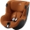 Britax Romer Dualfix iSense i-Size Golden cognac Bērnu Autokrēsls 0-18 kg