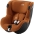 Britax Romer Dualfix iSense i-Size Golden cognac Детское автокресло 0-18 кг