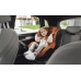 Britax Romer Dualfix Pro 360 Indigo Blue Детское автокресло 0-18 кг + База