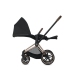 Cybex e-Priam Dream Grey Simply Flowers Chrome black frame Pastaigu Ratiņi