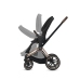 Cybex e-Priam Dream Grey Simply Flowers Chrome black frame Pastaigu Ratiņi