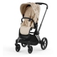 Cybex e-Priam Pale Blush Simply Flowers Matt black frame Pastaigu Ratiņi