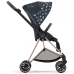 Cybex Mios Jewels of Nature + Chrome Black Frame Sporta rati