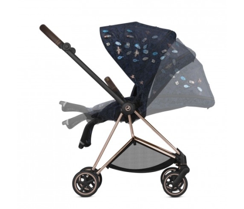 Cybex Mios Pale Jewels of Nature + Chrome Black Frame Прогулочная Коляска