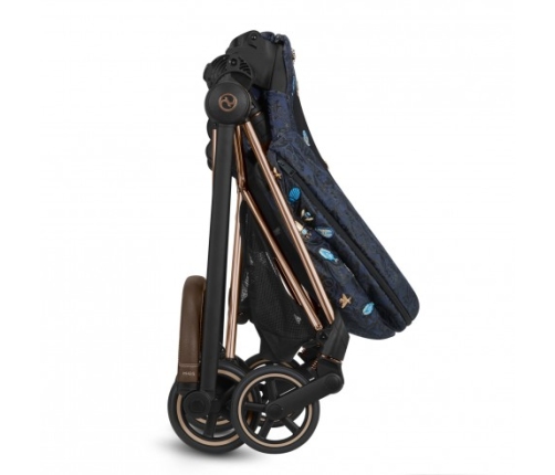 Cybex Mios Jewels of Nature + Rose Gold Frame Sporta rati