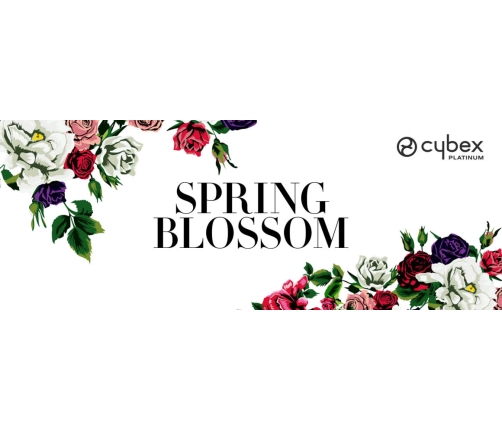 Cybex Priam 4.0 Spring Blossom Dark + Gold rose frame Прогулочная Коляска