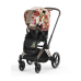 Cybex Priam 4.0 Spring Blossom Light Rose Gold frame Детская Коляска 2in1