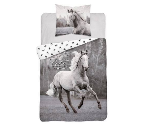 Detexpol Beautiful Horse gultas veļas komplekts no 2 daļām 160x200