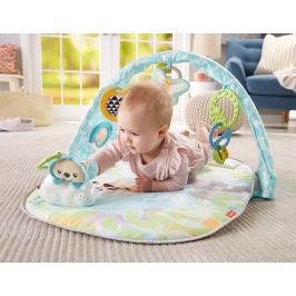 Fisher Price Butterfly Dreams Musical Playtime Gym DYW46 Aktivitātes paklājs