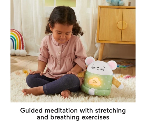 Fisher Price Meditation Mouse GRV08 Интерактивная Мышь для медитации