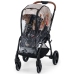 Kinderkraft Evolution + Cocoon Bird Freedom Sporta Ratiņi 2in1