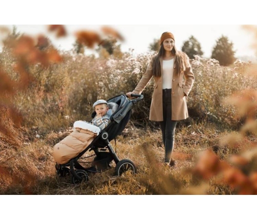 Спальный мешок Petite&Mars Comfy 4in1 Stylish Beauty