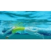 SWIMTRAINER Сlassic ОРАНЖЕВЫЙ Круг для обучения плаванию 2 - 6 лет