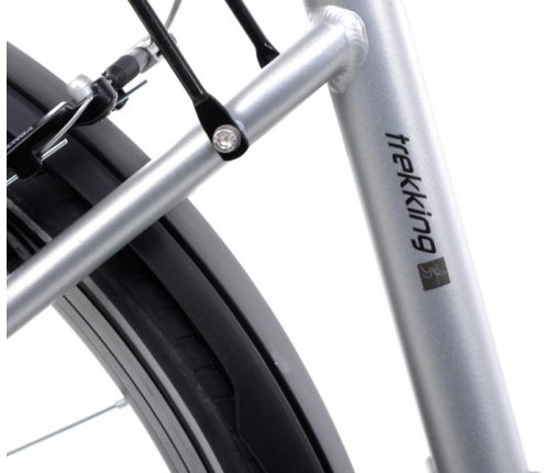 Velosipēds Romet Wagant 5 28 M Silver graphite