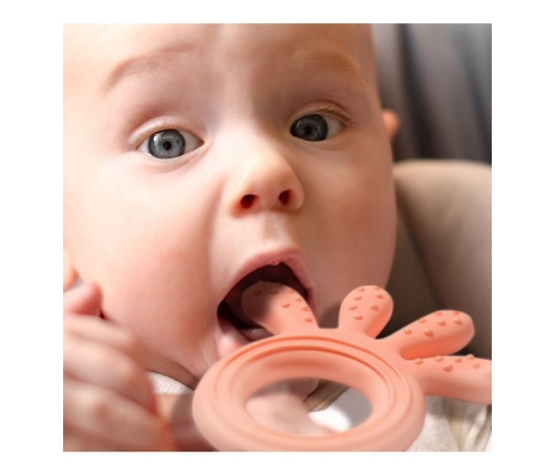 Zobu graužamais elastīgs OCTOPUS BabyOno 826/01 pink