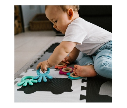 Zobu graužamais elastīgs OCTOPUS BabyOno 826/01 pink