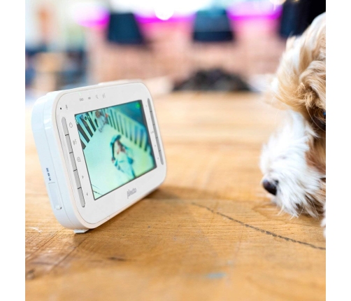 Alecto Baby Videomonitor DVM-200GS Радио и видеоняня