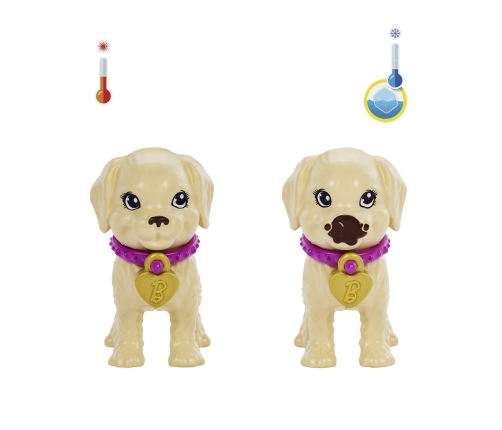 Barbie Adopt-a-Pup Playset Latina Кукла HKD86