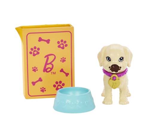 Barbie Adopt-a-Pup Playset Latina Кукла HKD86