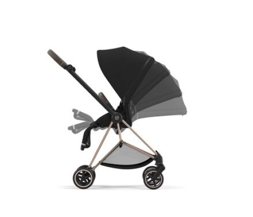 Cybex Mios 3.0 Dream Grey Simply Flowers Pastaigu Bloks