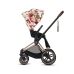 Cybex Priam Spring Blossom Light Pastaigu Bloks