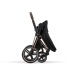 Cybex Priam 4.0 Dream Grey Simply Flowers + Matt black frame Pastaigu Ratiņi