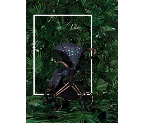 Cybex Priam 4.0 Jewels of Nature + Chrome black frame Pastaigu Ratiņi