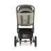Roan Bass Next Misty Mood Детская Коляска 2 в 1