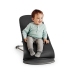 Шезлонг для детей BabyBjorn Bouncer Bliss Anthracite Petal quilt 006126