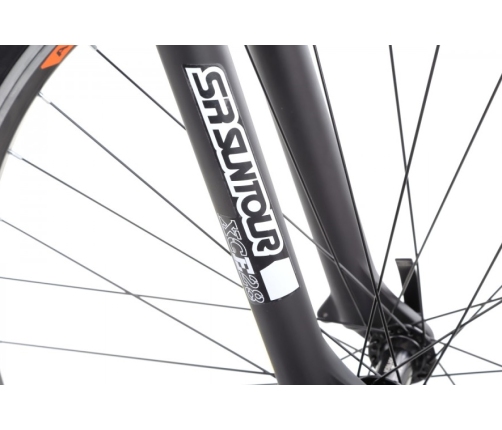 Velosipēds Romet Rambler R9.0 29 L Grey black