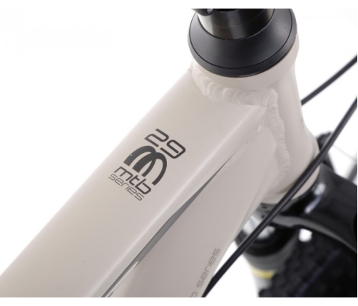 Velosipēds Romet Rambler R9.0 29 L Grey black