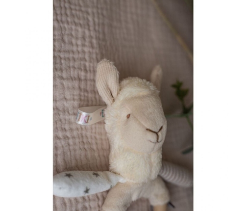 Mazuļu rotaļlietas Grabulis-graužamais Sammy