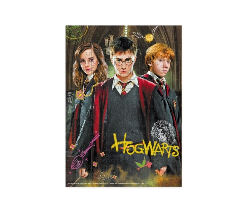 Attīstošā puzle Medium-S Harry Potter Harry and friends 250 pcs