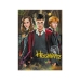 Attīstošā puzle Medium-S Harry Potter Harry and friends 250 pcs