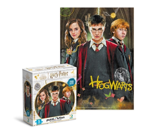 Attīstošā puzle Medium-S Harry Potter Harry and friends 250 pcs