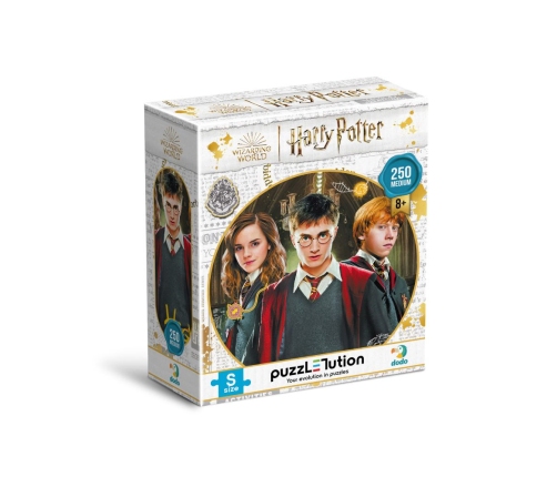 Attīstošā puzle Medium-S Harry Potter Harry and friends 250 pcs