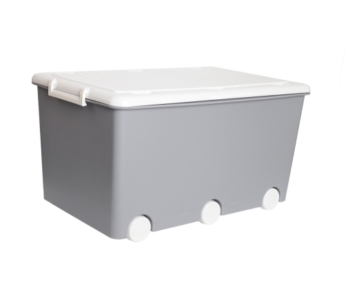 Kaste mantu glabāšanai 58 x 40 x 33 cm TEGA BABY grey PW-001-106