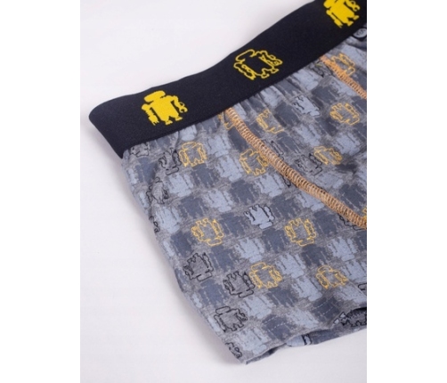 Zēnu bokseršorti 2 gab. BMB-0017