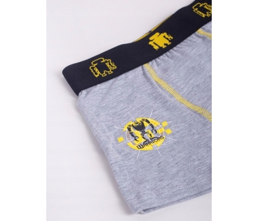 Zēnu bokseršorti 2 gab. BMB-0017