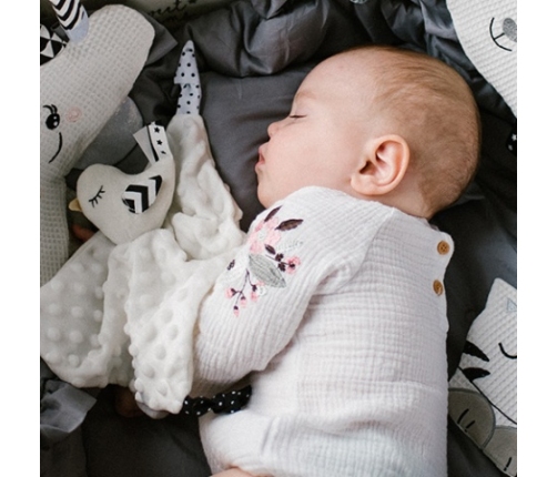 Mīļlupatiņa LITTLE BIRDIE 1537