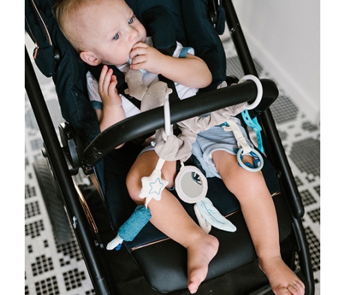 Подвеска-развивающая игрушка RACOON 1579