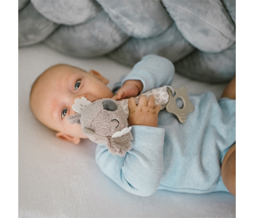 Rotaļlieta ar pīkstuli un graužamo KOALA COCO 1633