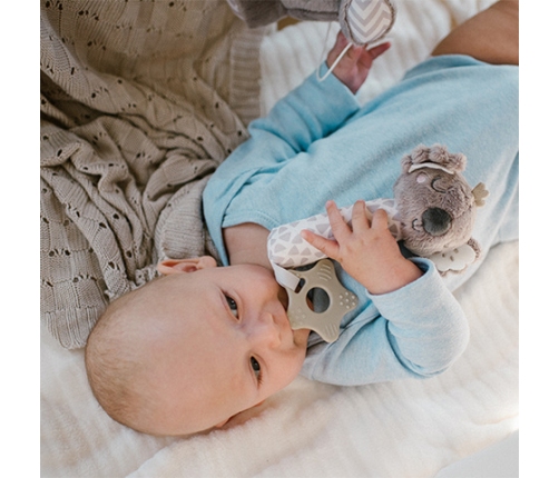 Rotaļlieta ar pīkstuli un graužamo KOALA COCO 1633