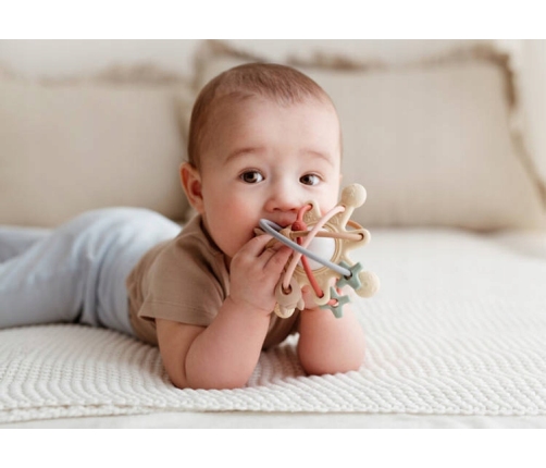 Grabulis COSMOS 45520